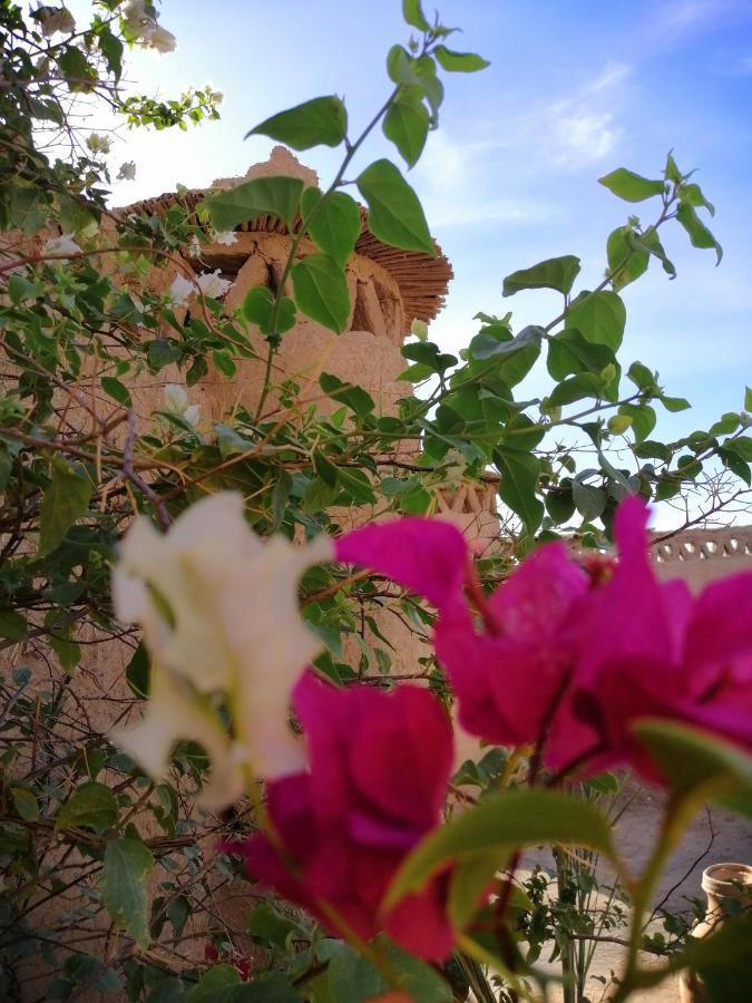 Hôtel La Gazelle Bleue à Merzouga Extérieur photo